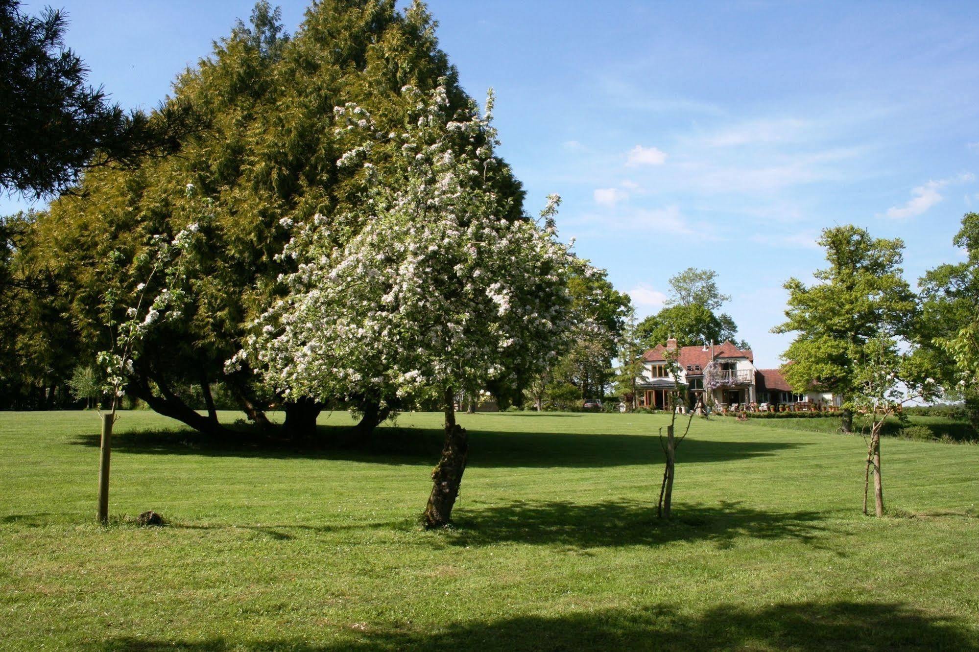 Shoyswell Cottage Hurst Green  Exterior photo